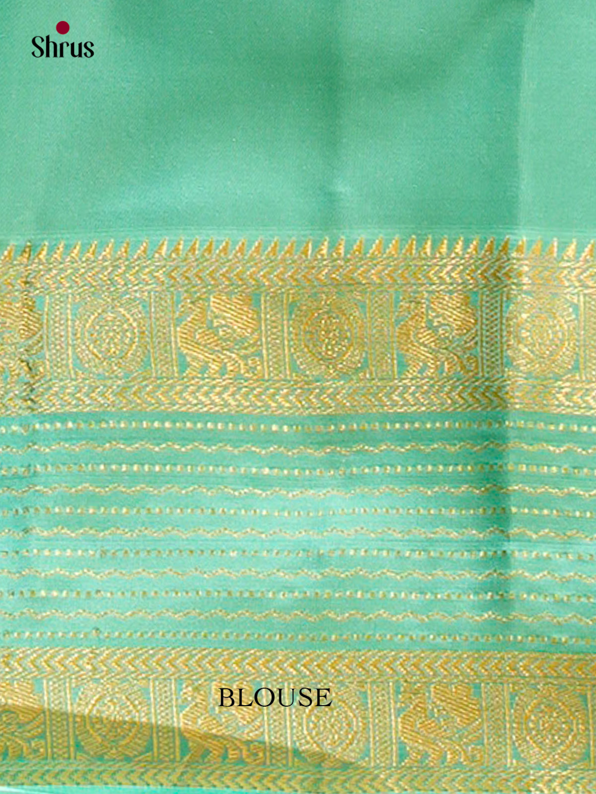 Kanchipuram silk Saree - EFS27111