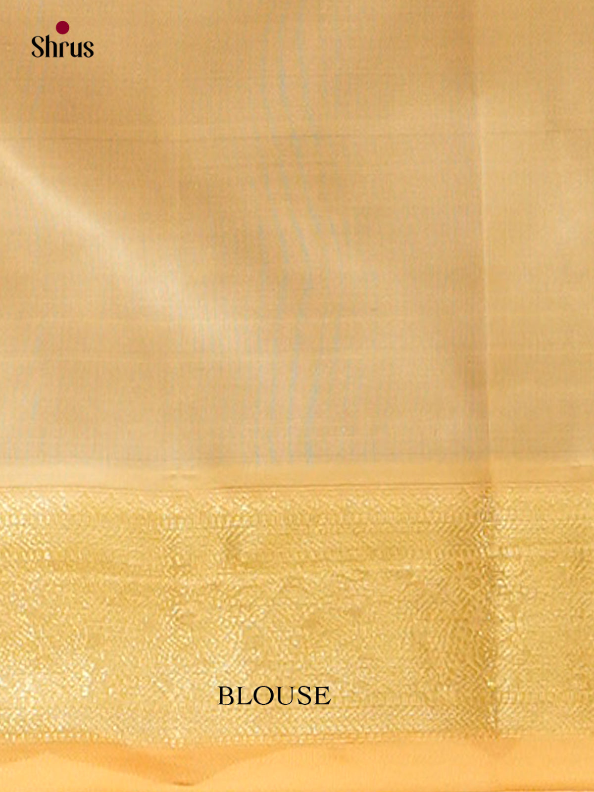 Kanchipuram silk Saree - EFS27168 - Shop on Shrus.com