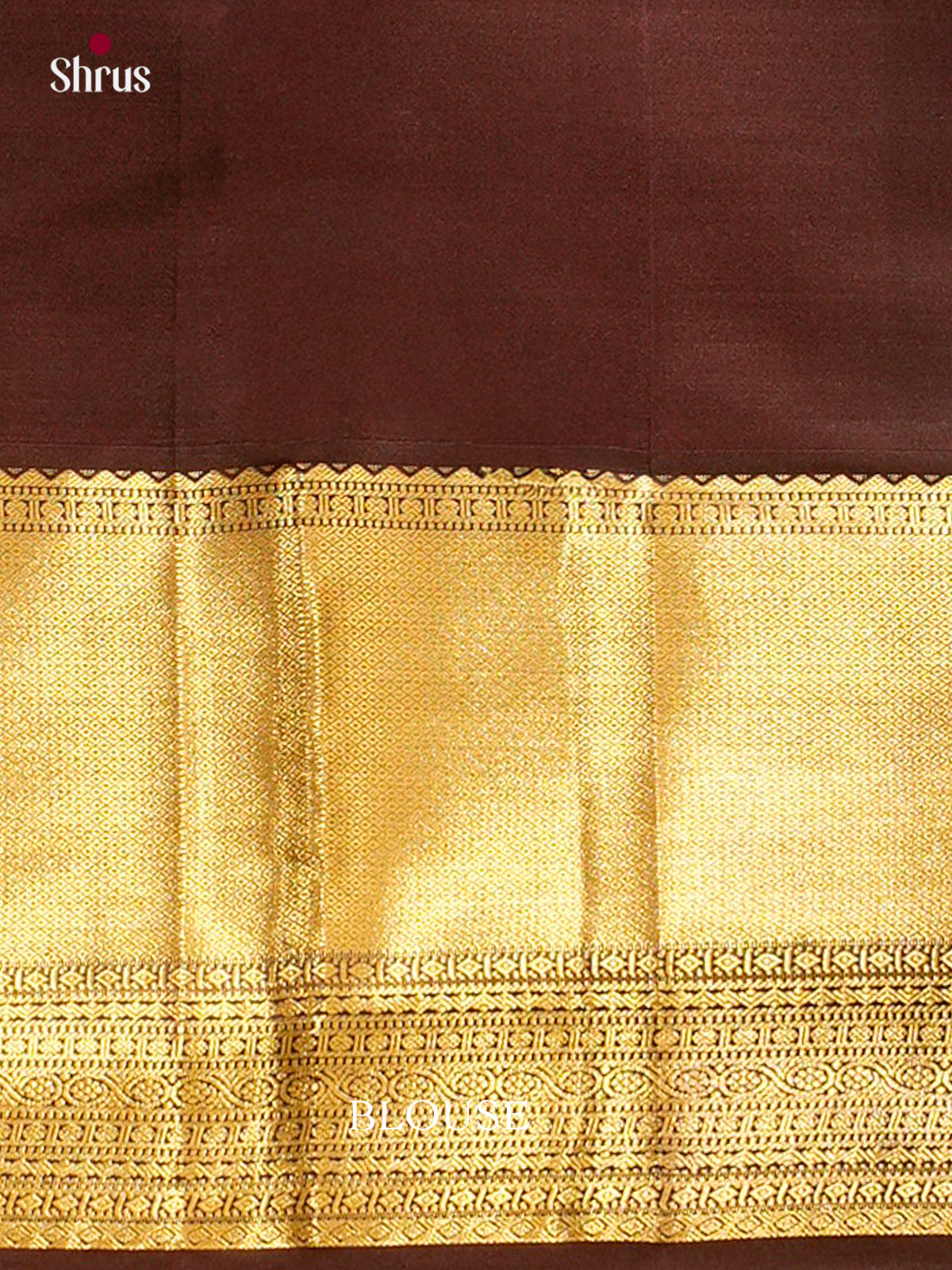 Kanchipuram silk Saree - EFS27197 - Shop on Shrus.com