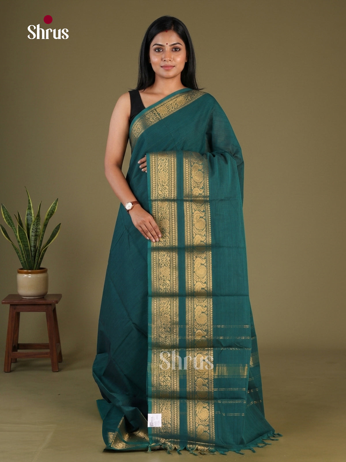 Chettinad Cotton Saree - EFS27494