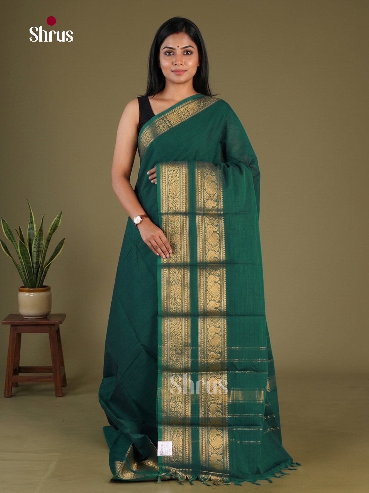 Chettinad Cotton Saree - EFS27494