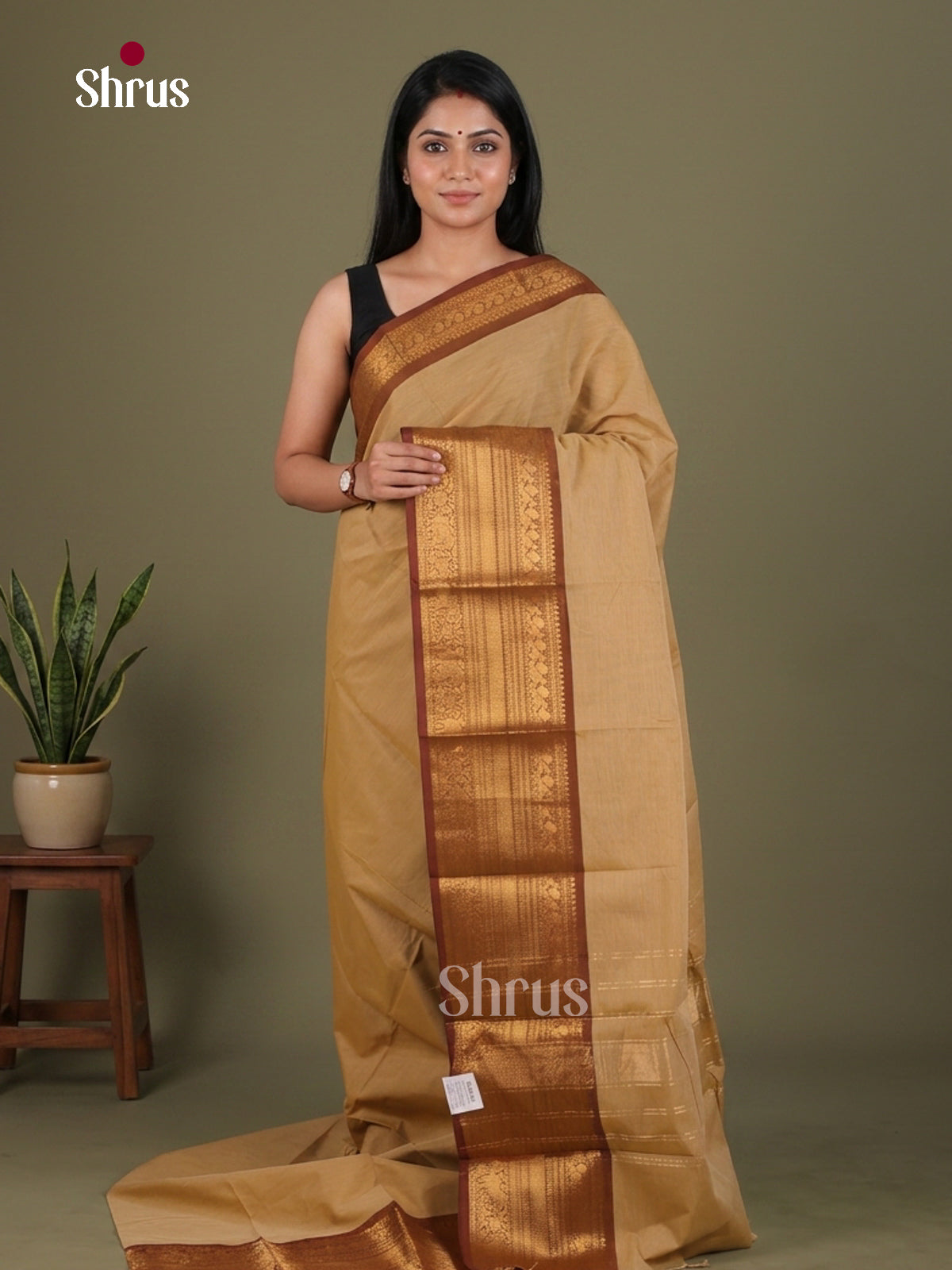 Chettinad Cotton Saree - EFS29067 - Shop on Shrus.com