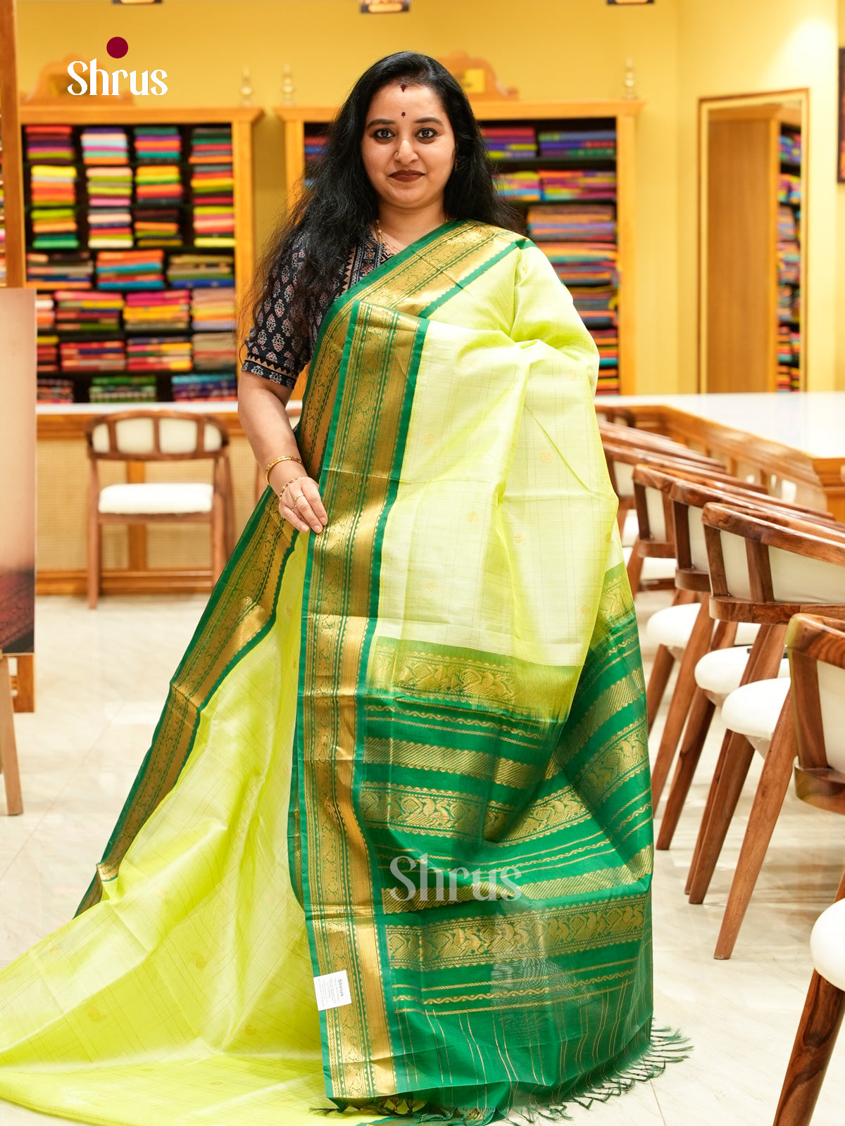 Pista Green Silk Cotton Saree with Checks with Buttas and Peacock Buttas | Dark Green Contrast Border