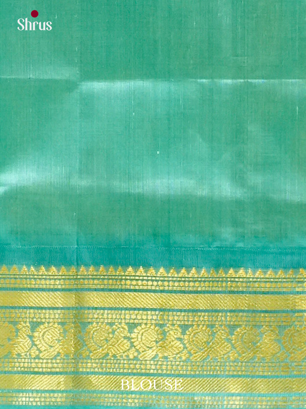 Off-White Silk Cotton Saree with Checks | Turquoise Contrast Border