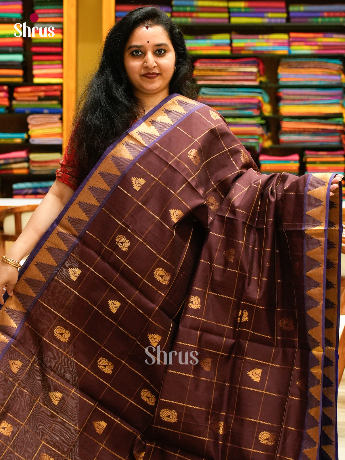 Dark Brown Halfpure Silk Cotton Saree with Checks with Buttas and Peacock Buttas | Blue Contrast Border