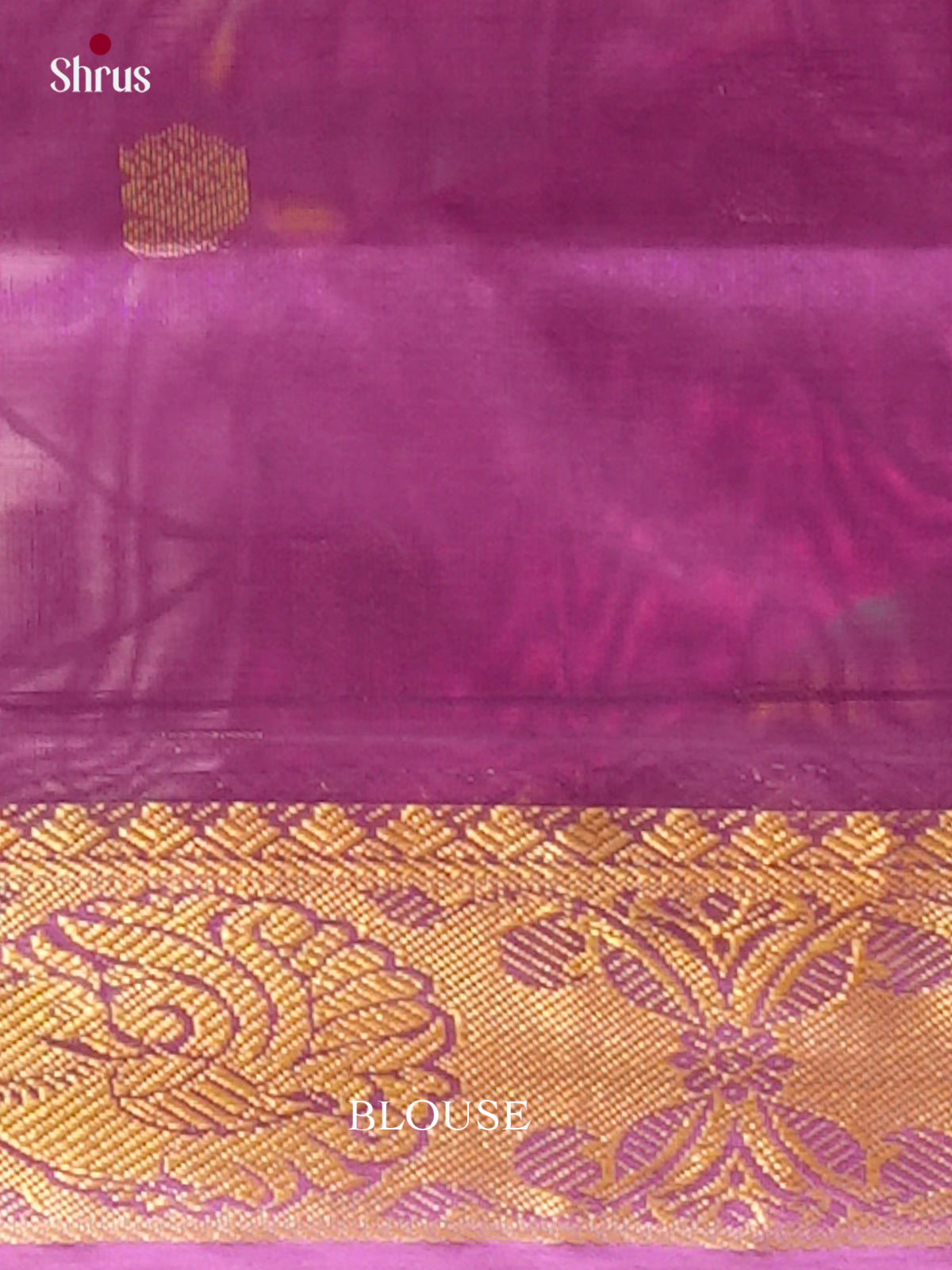 Parrot Green Silk Cotton Saree with Mango / Paisley Buttas | Violet Contrast Border