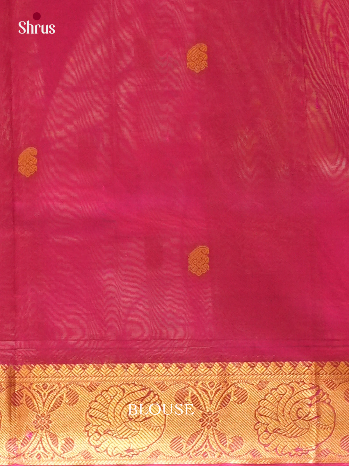 Peacock Green Silk Cotton Saree with Mango / Paisley Buttas | Pink Contrast Border