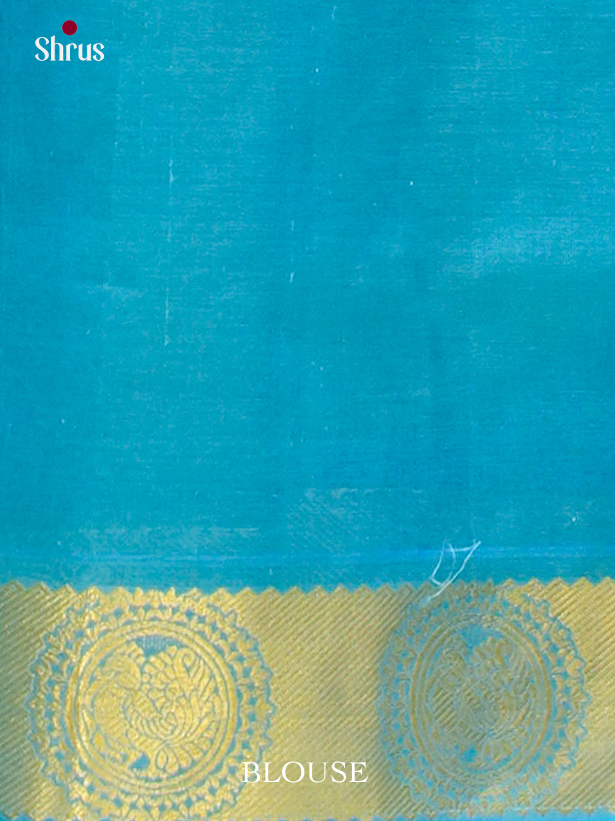 Green Silk Cotton Saree with Coin Buttas | Sky Blue Non Korvai Small Border - Shop on Shrus.com