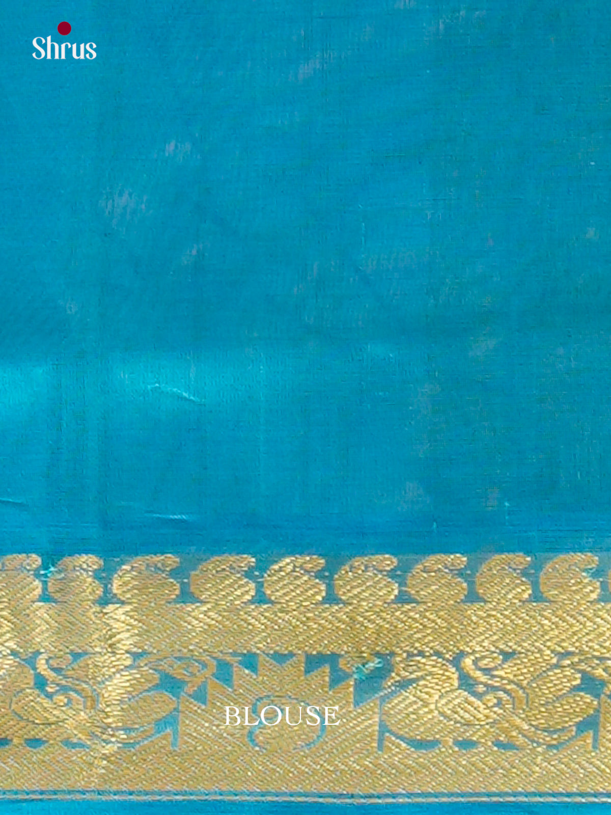 Green Silk Cotton Saree with Mango / Paisley Buttas | Sky Blue Non Korvai Medium Border