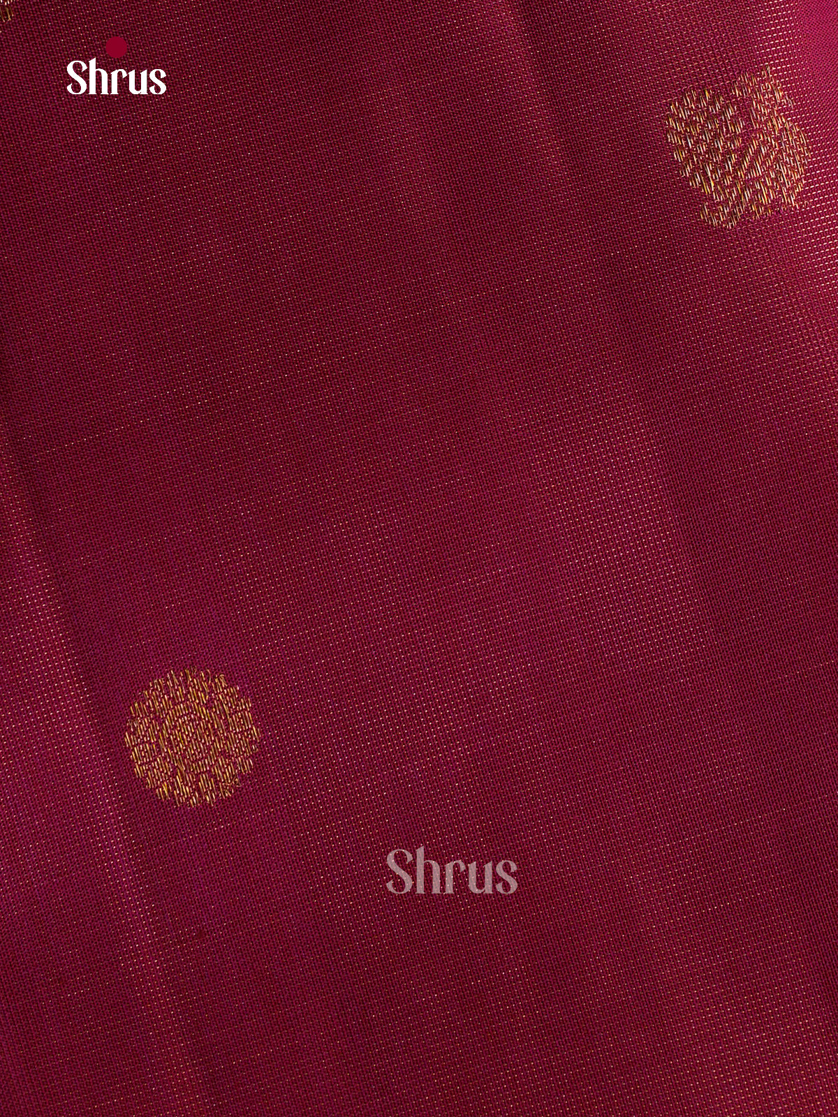 Kanchipuram silk Saree - EFS30320