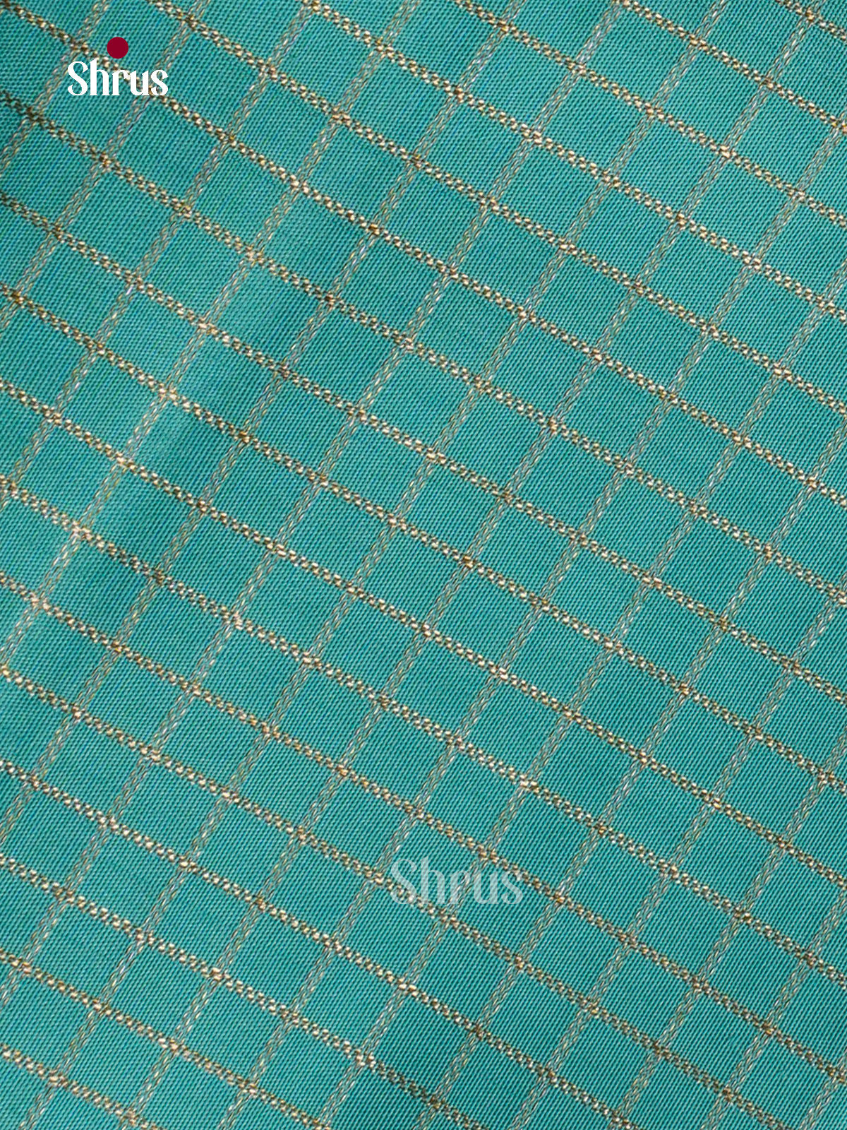 Kanchipuram silk Saree - EFS30357