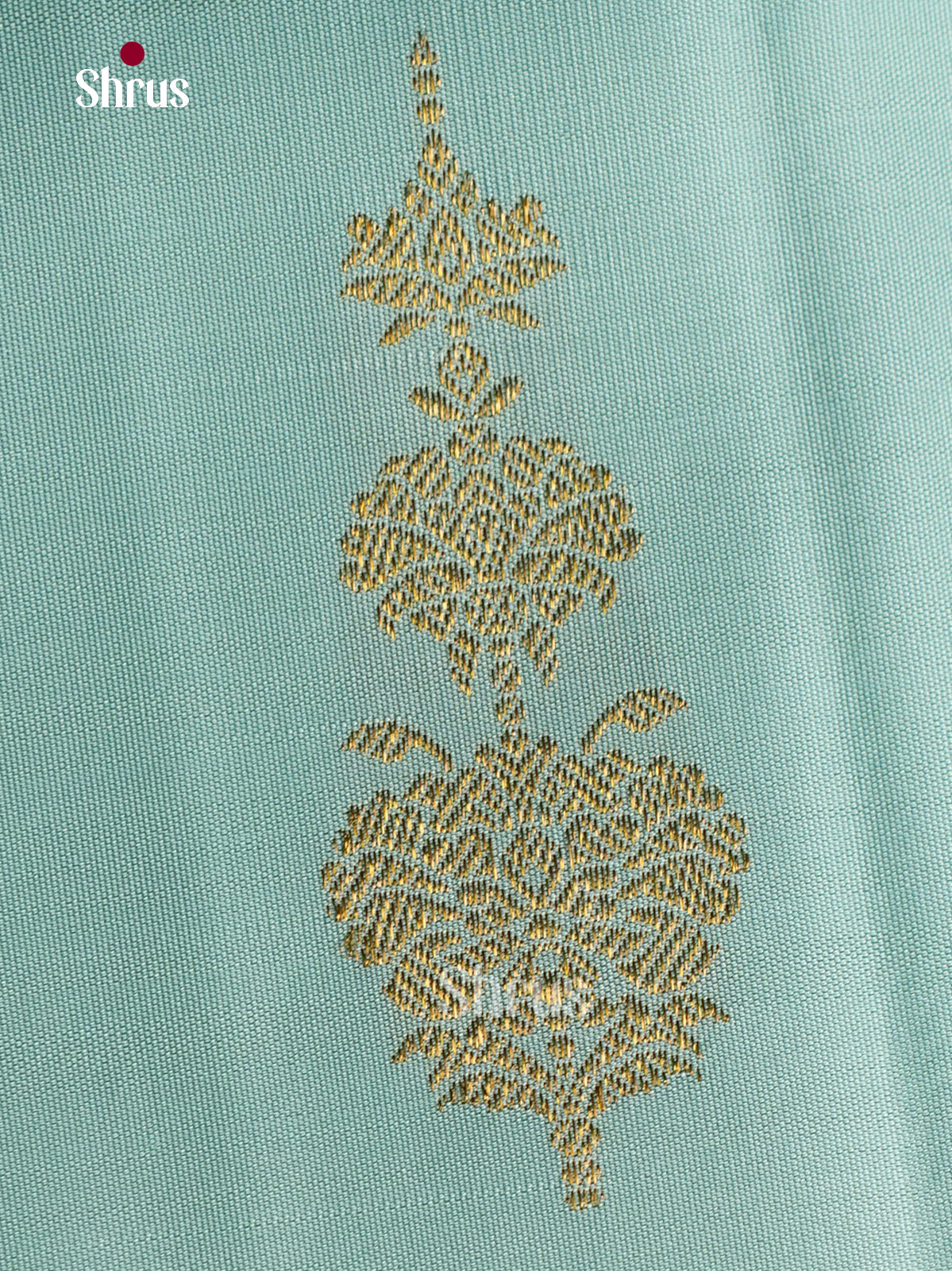 Kanchipuram silk Saree - EFS30363