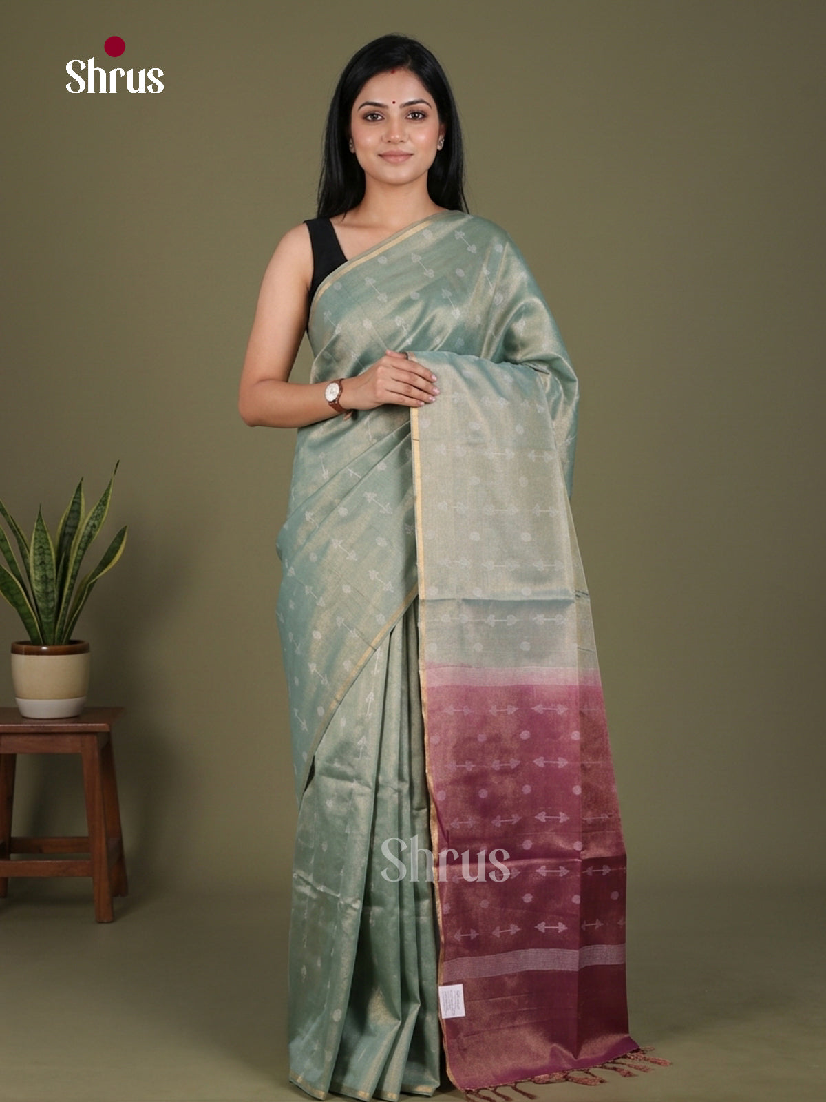 Semi Tissue Saree - EGS01110 - Shop on Shrus.com