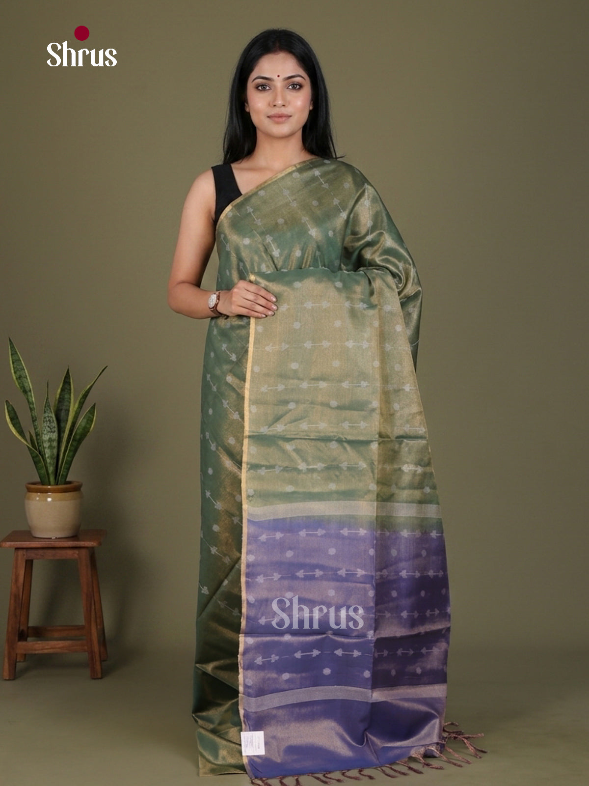 Semi Tissue Saree - EGS01113