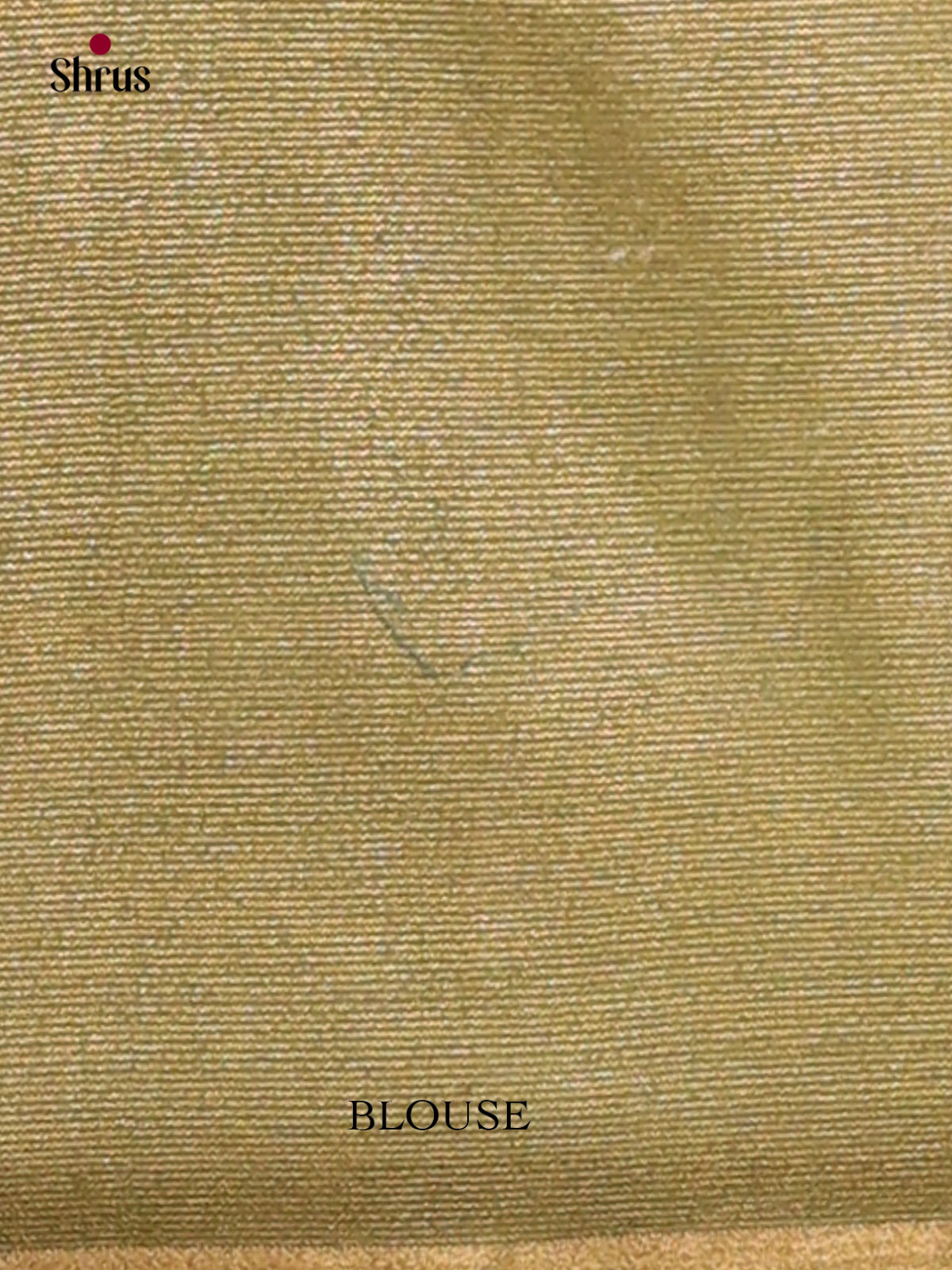 Semi Tissue Saree - EGS01116 - Shop on Shrus.com