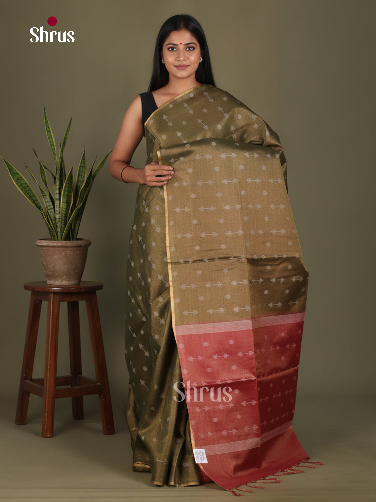 Semi Tissue Saree - EGS01124 - Shop on Shrus.com