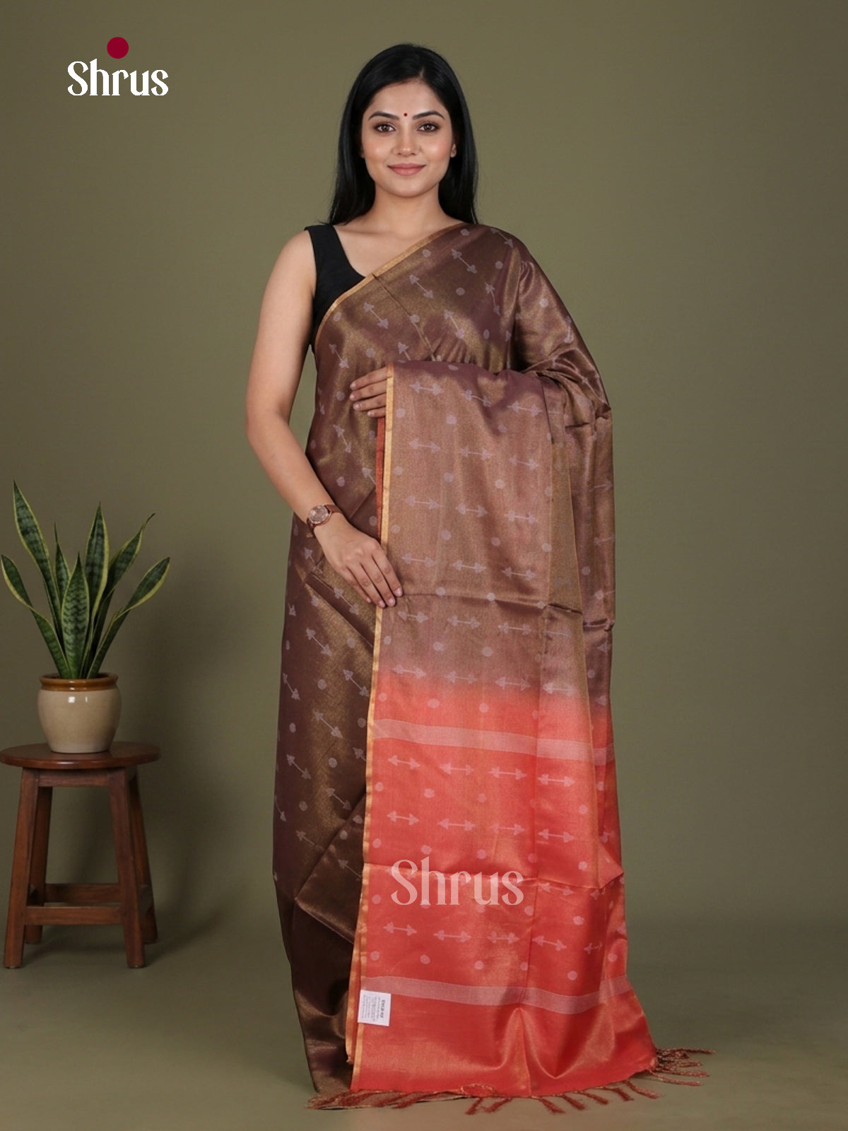 Semi Tissue Saree - EGS01126 - Shop on Shrus.com
