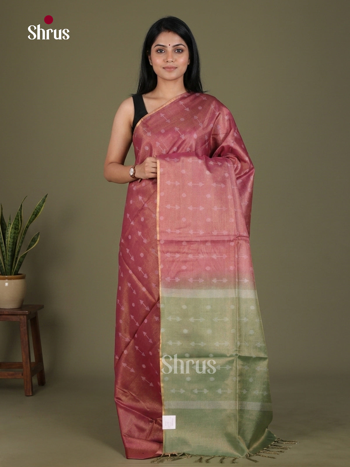 Semi Tissue Saree - EGS01127 - Shop on Shrus.com