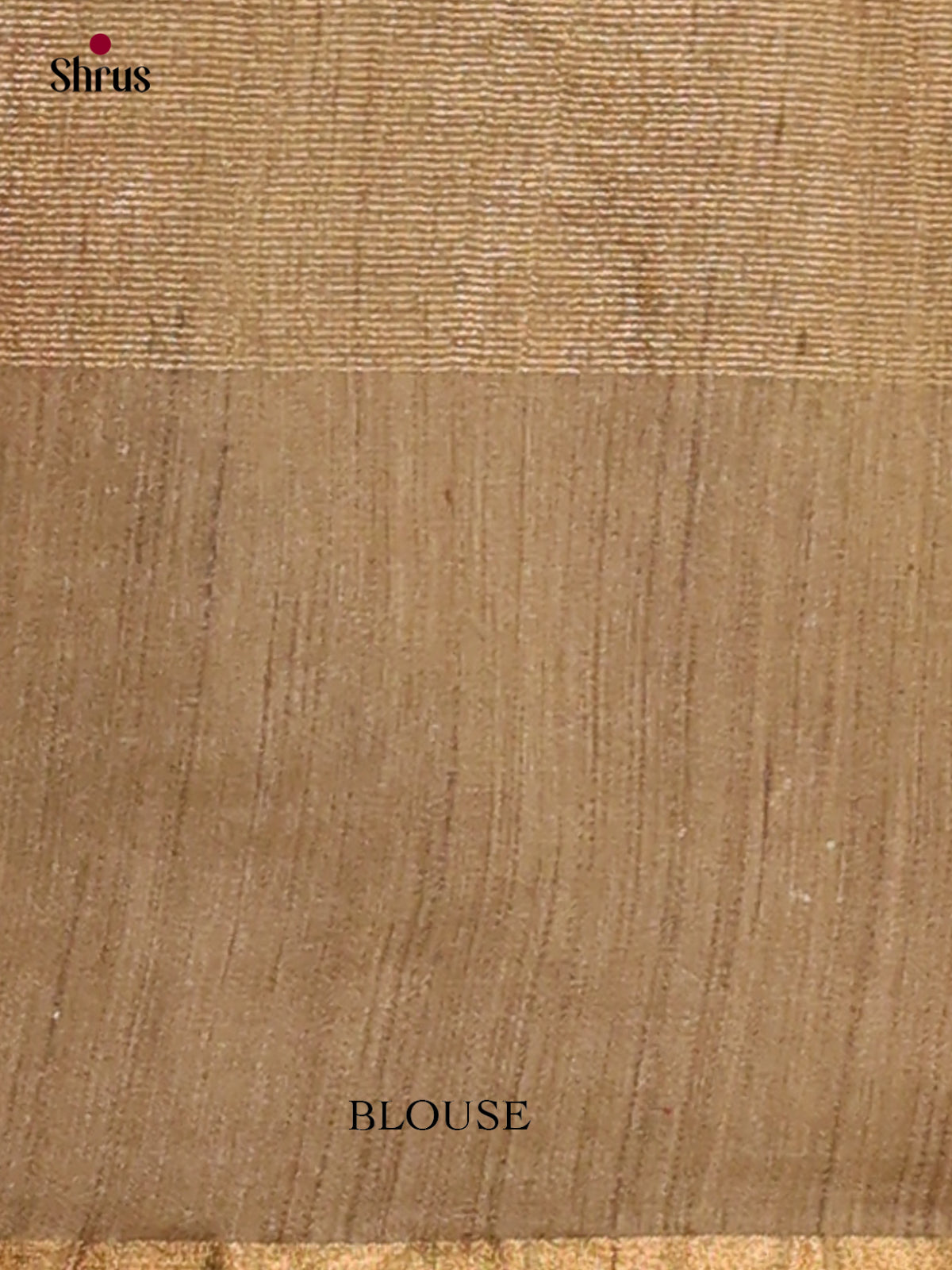 Tissue Embroidery Saree - EGS01139 - Shop on Shrus.com