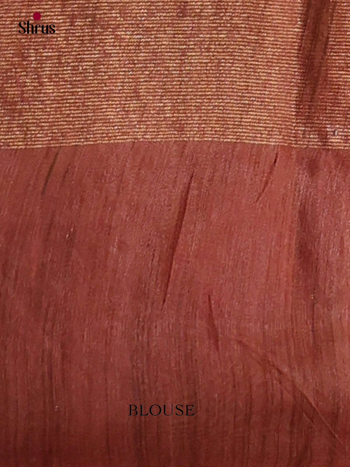 Tissue Embroidery Saree - EGS01142 - Shop on Shrus.com