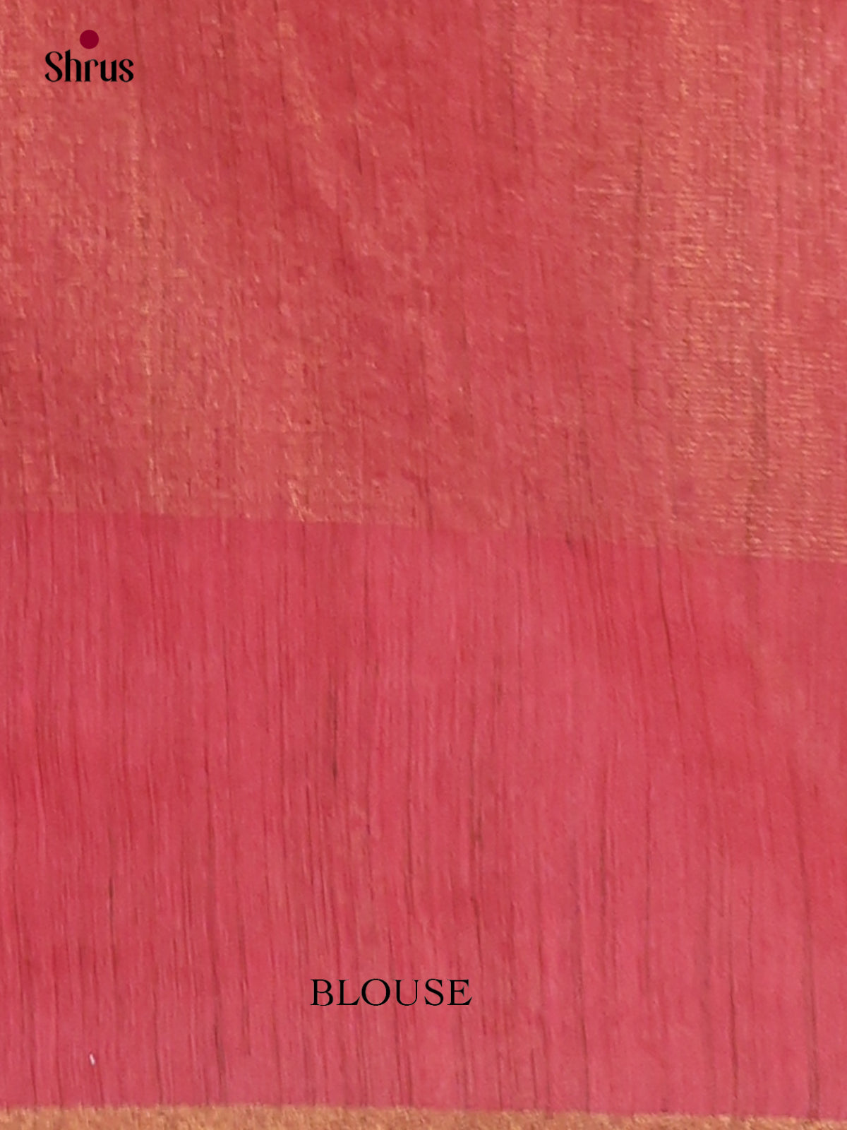 Tissue Embroidery Saree - EGS01149 - Shop on Shrus.com
