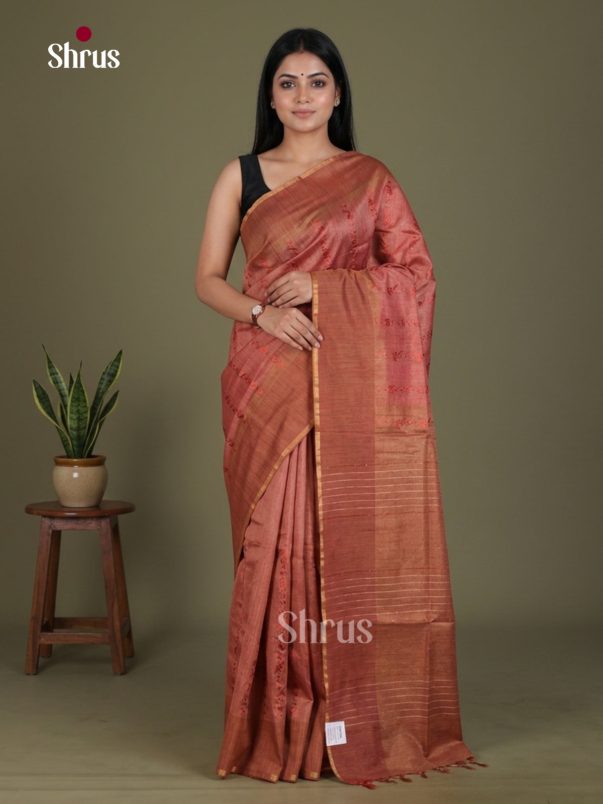 Tissue Embroidery Saree - EGS01158 - Shop on Shrus.com