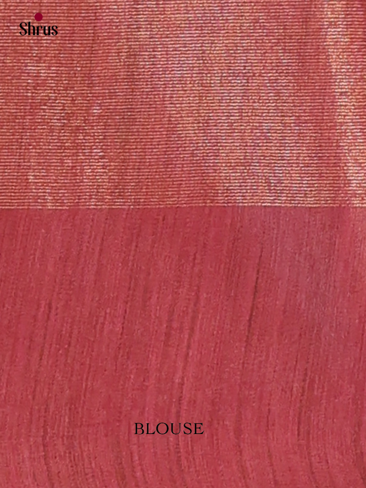 Tissue Embroidery Saree - EGS01167 - Shop on Shrus.com