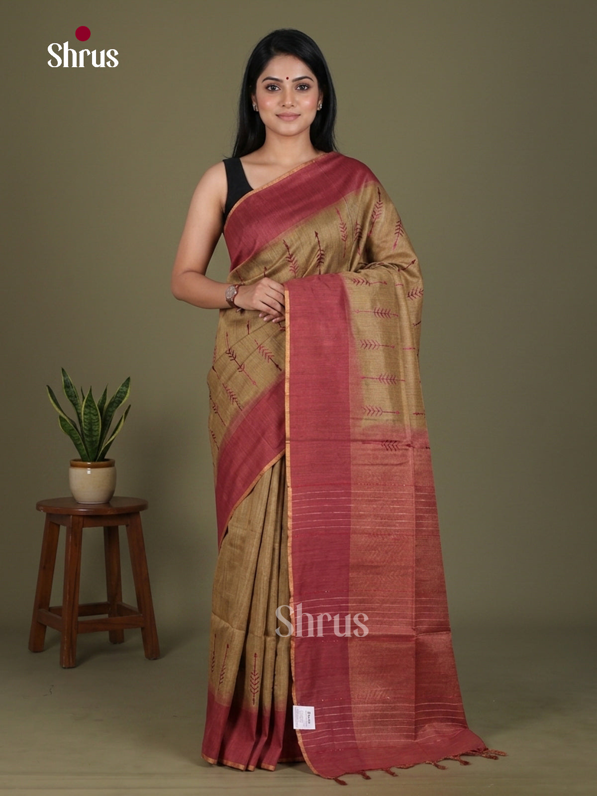 Tissue Embroidery Saree - EGS01173