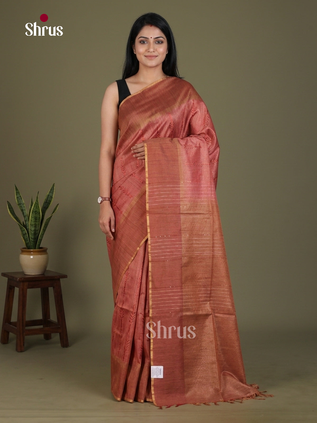 Tissue Embroidery Saree - EGS01175 - Shop on Shrus.com