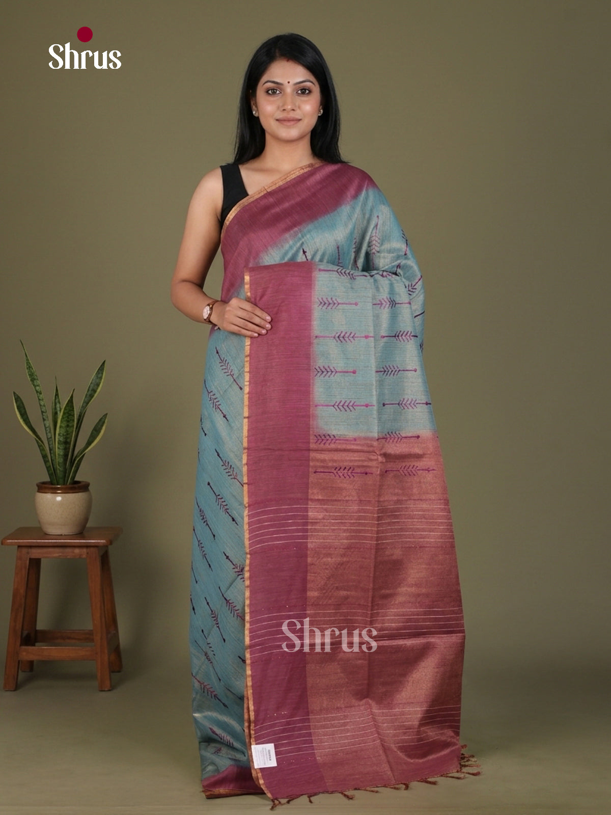 Tissue Embroidery Saree - EGS01176 - Shop on Shrus.com