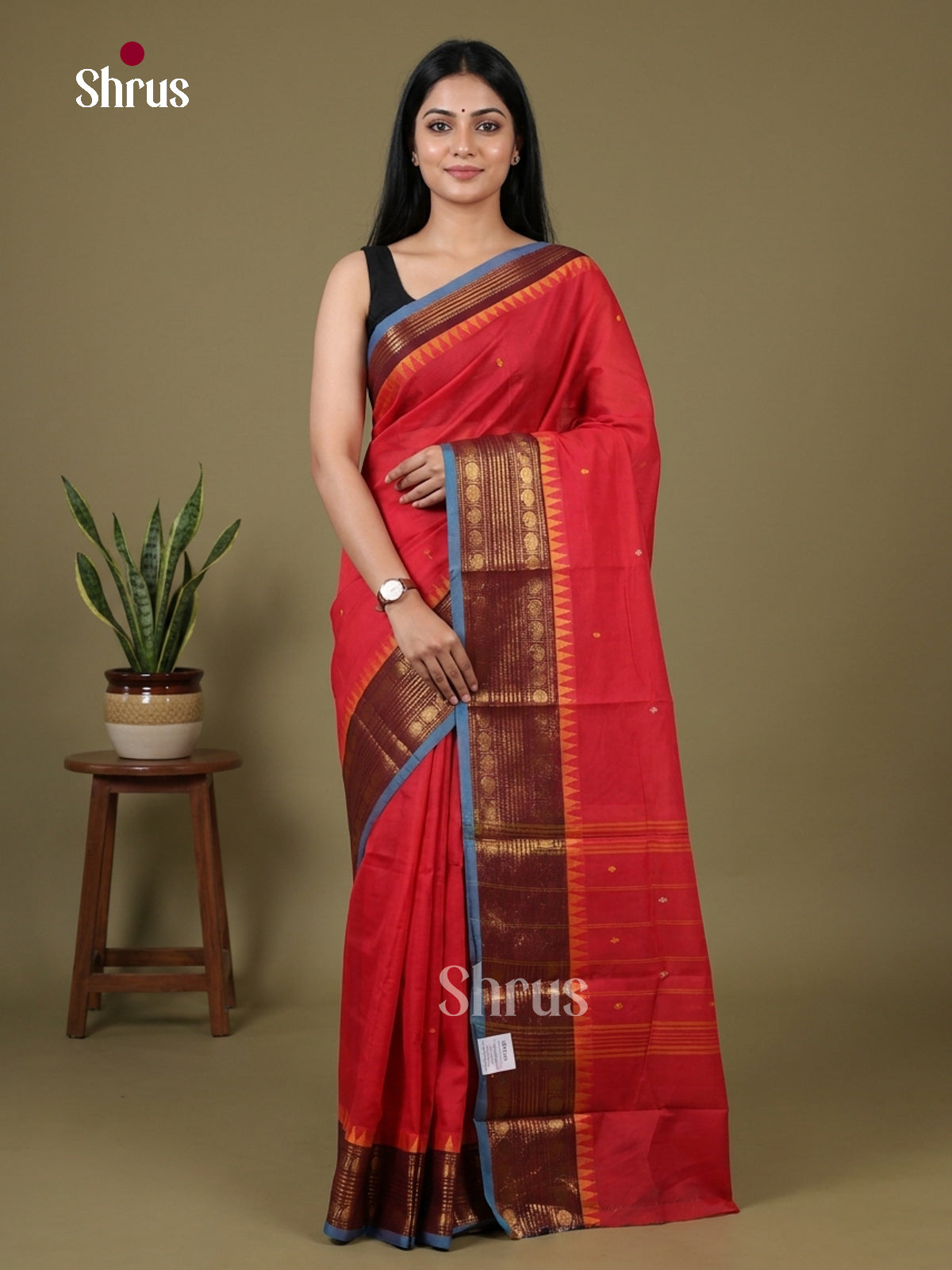 Chettinad Cotton Saree - EGS03001