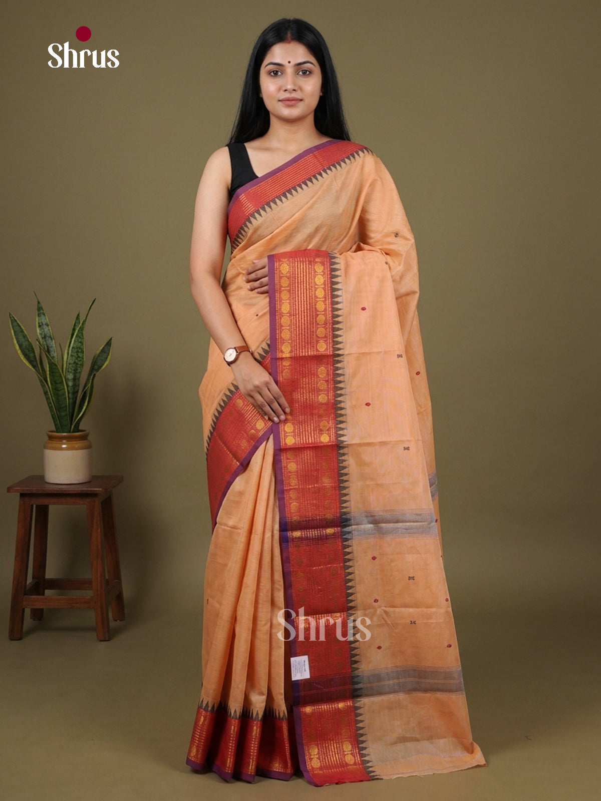 Chettinad Cotton Saree - EGS03003