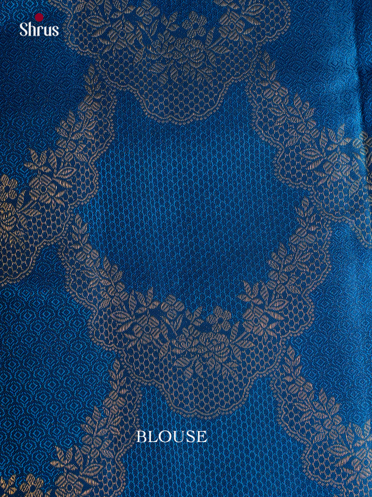 Kanchipuram silk Saree - EGS03049