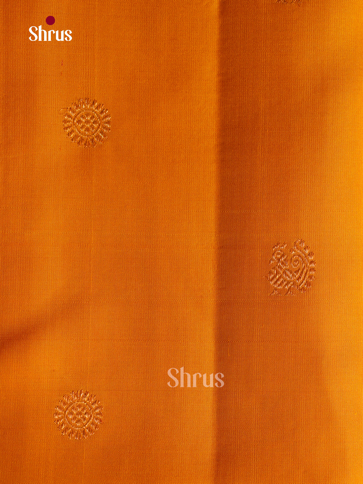 Kanchipuram silk Saree - EGS03101