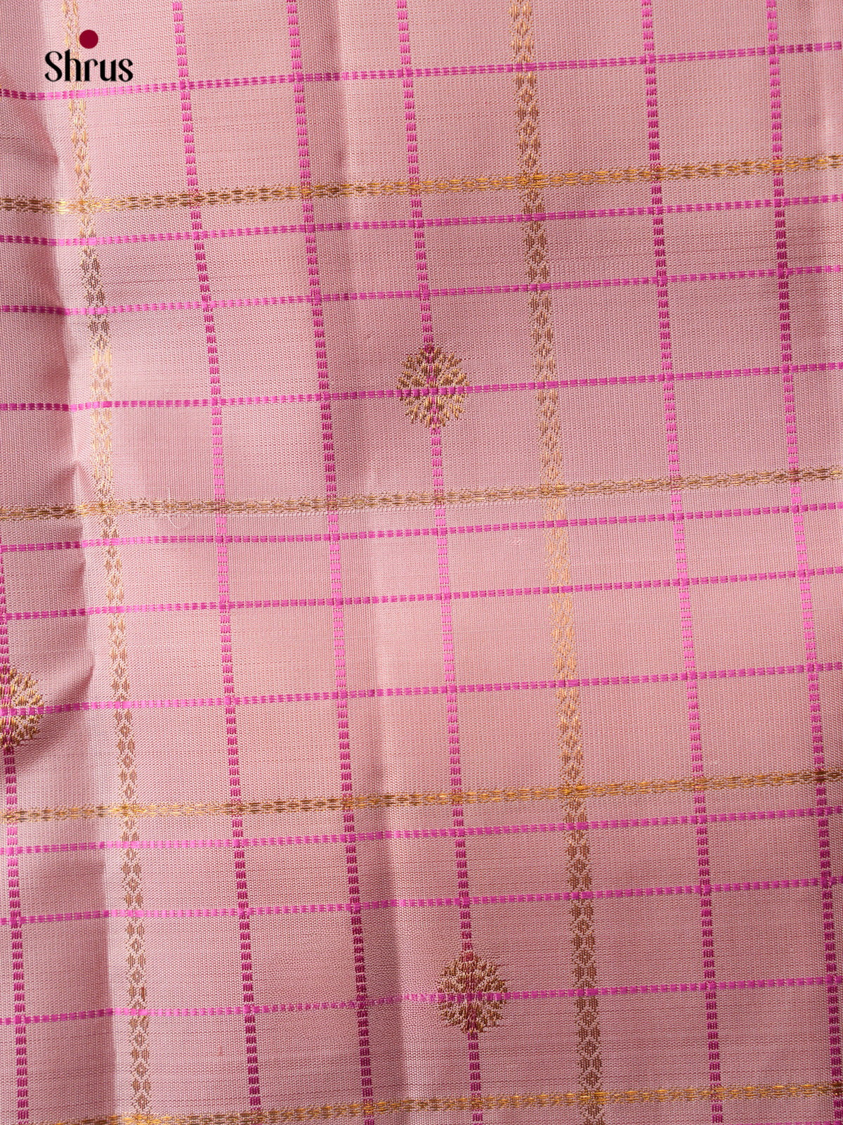 Kanchipuram silk Saree - EGS03110