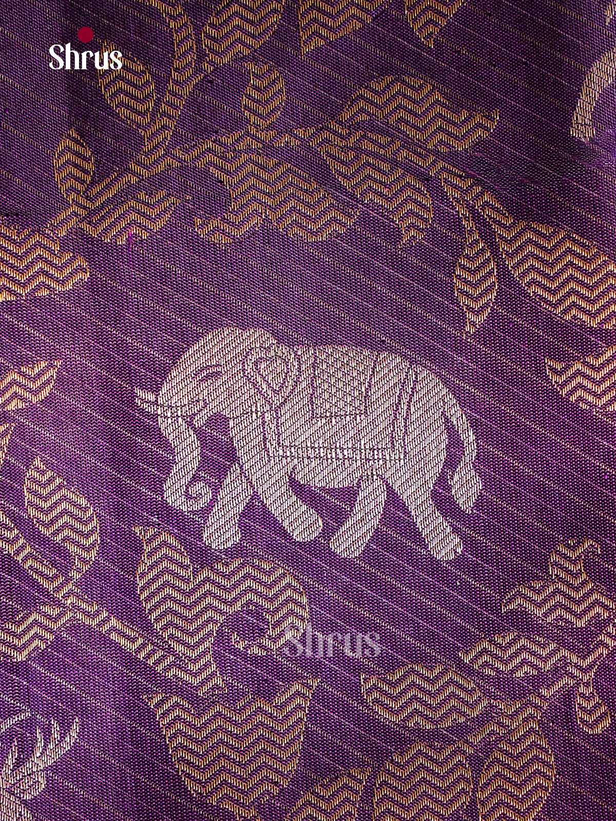 Kanchipuram silk Saree - EGS03159