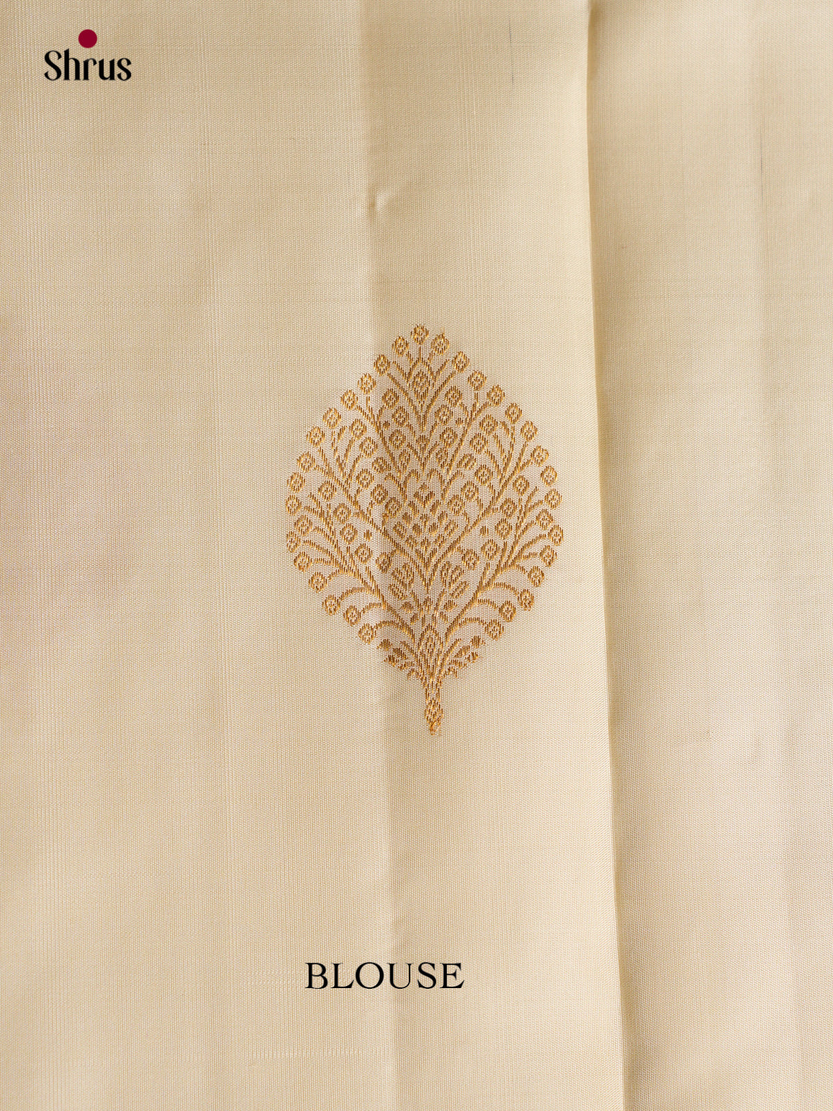 Kanchipuram silk Saree - EGS03184