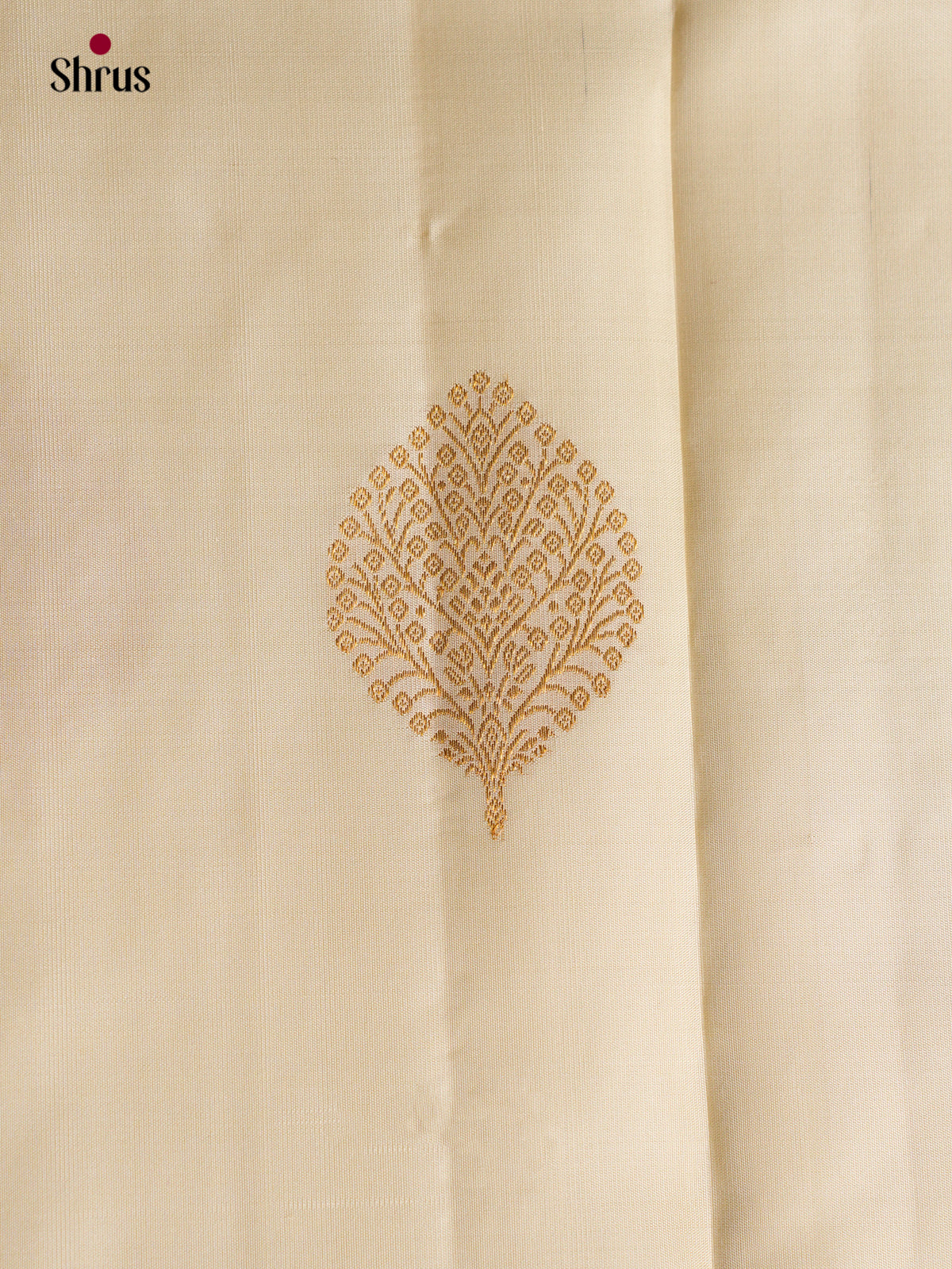 Kanchipuram silk Saree - EGS03184
