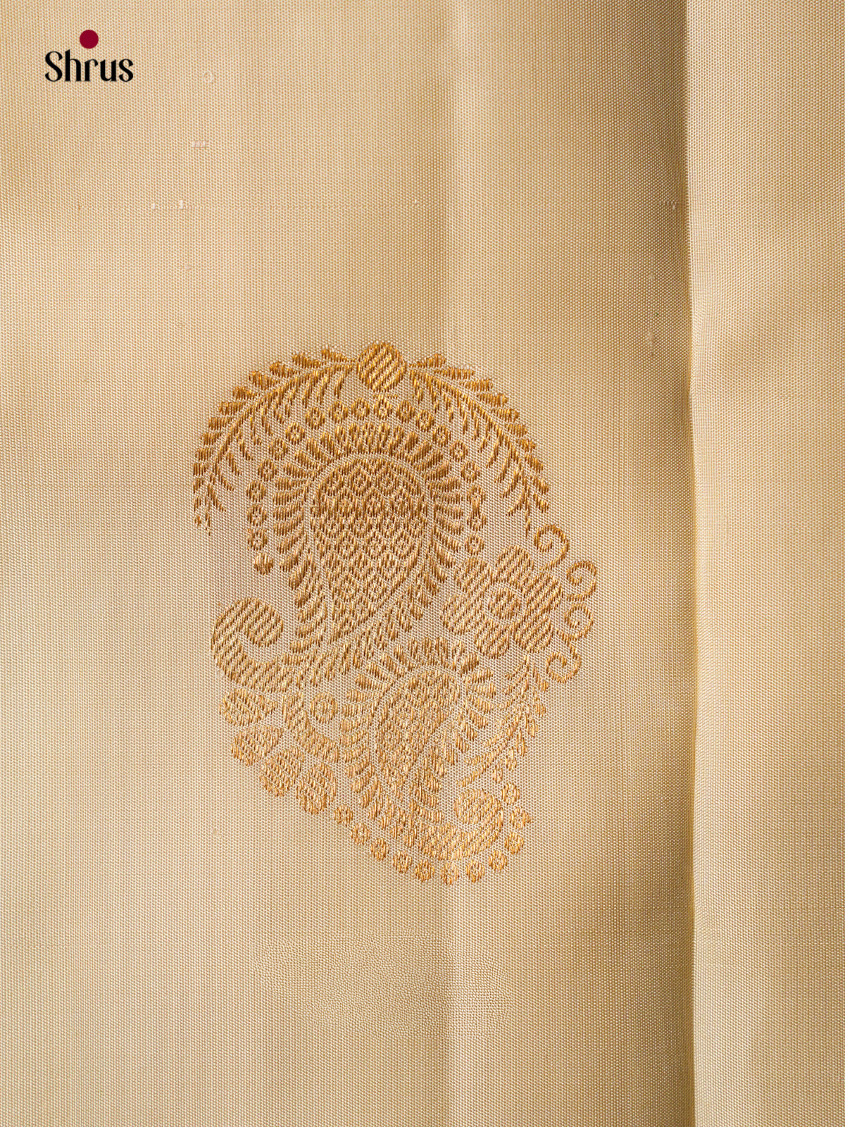 Kanchipuram silk Saree - EGS03192