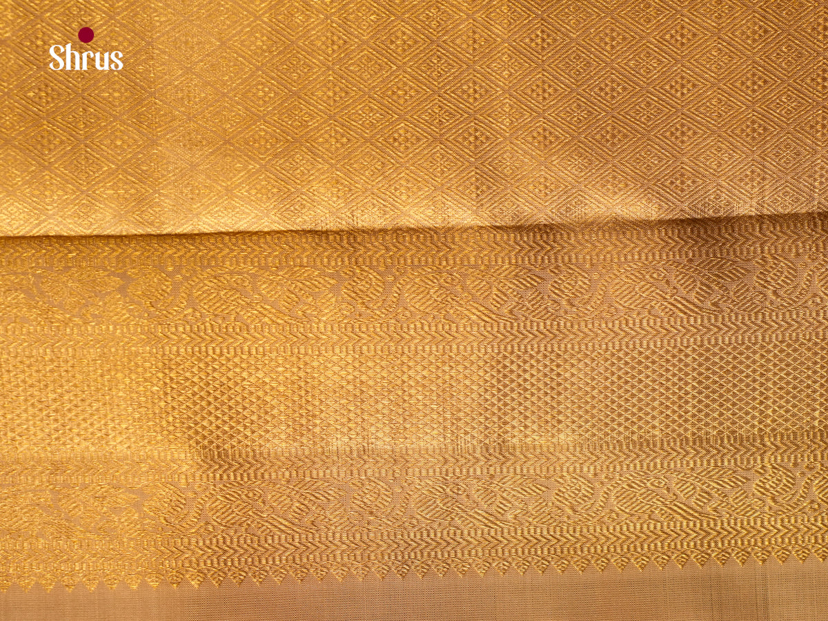 Kanchipuram silk Saree - EGS03203