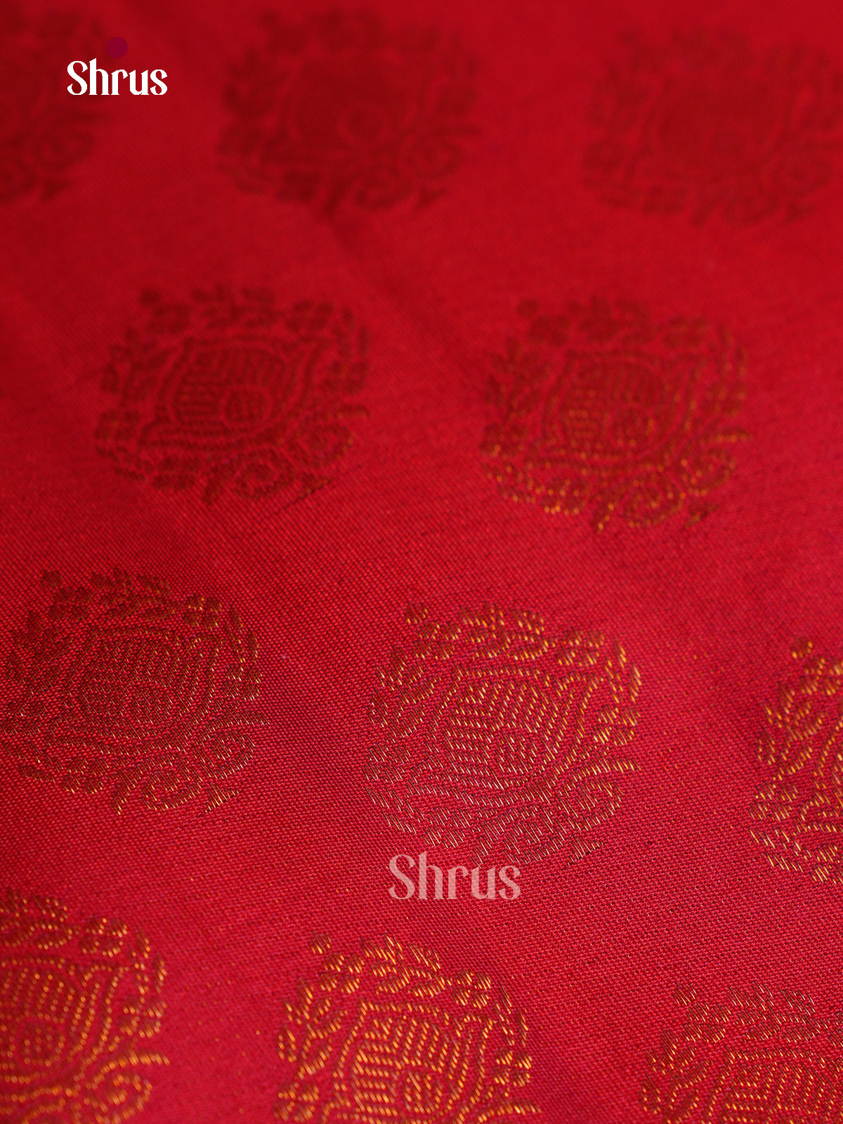 Kanchipuram silk Saree - EGS03214