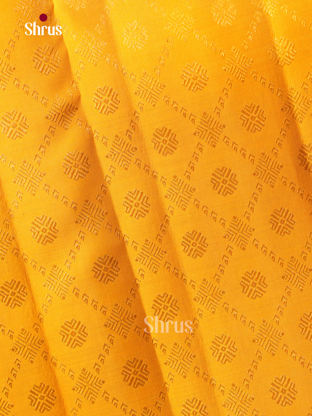 Kanchipuram silk Saree - EGS03233