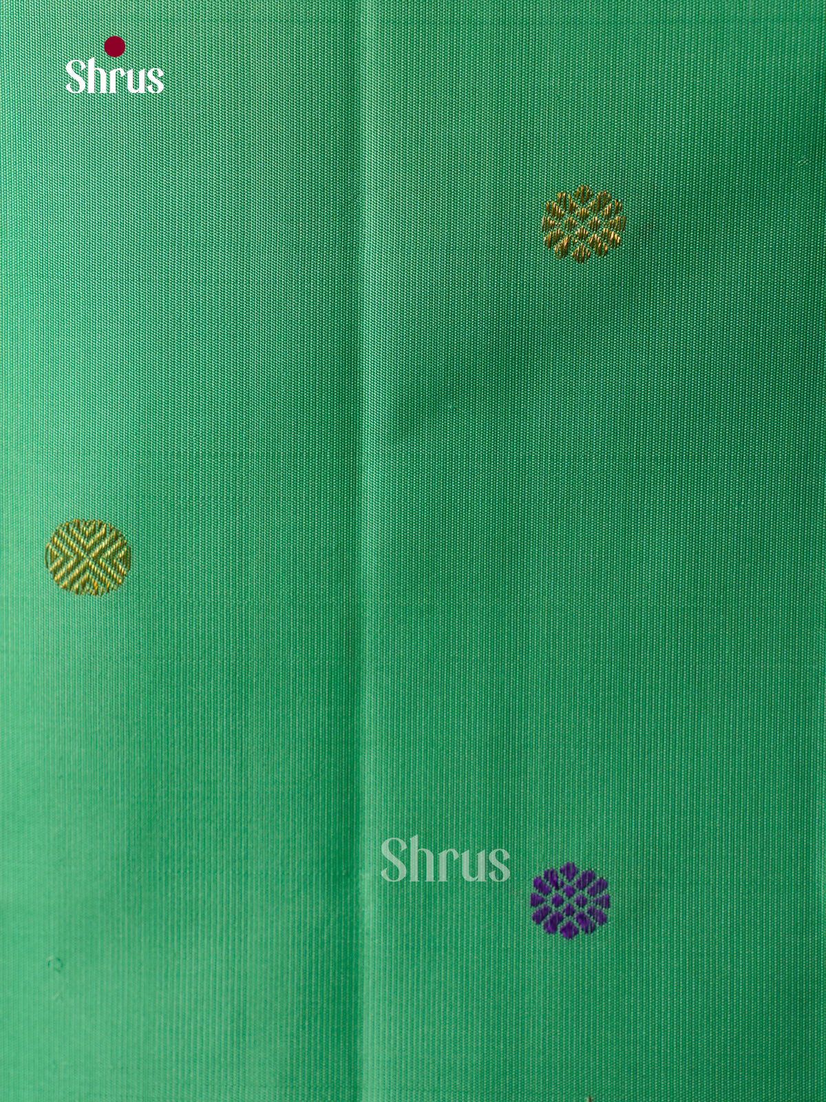 Kanchipuram silk Saree - EGS03250
