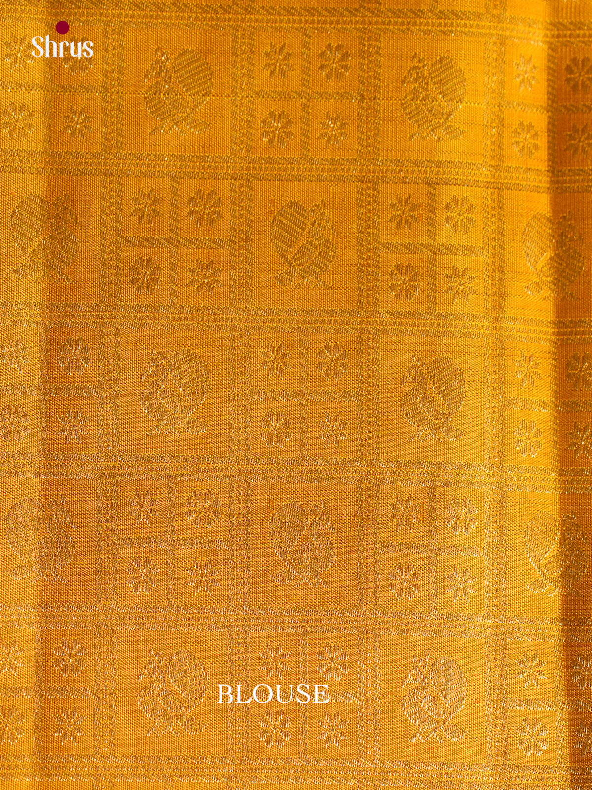 Kanchipuram silk Saree - EGS03255