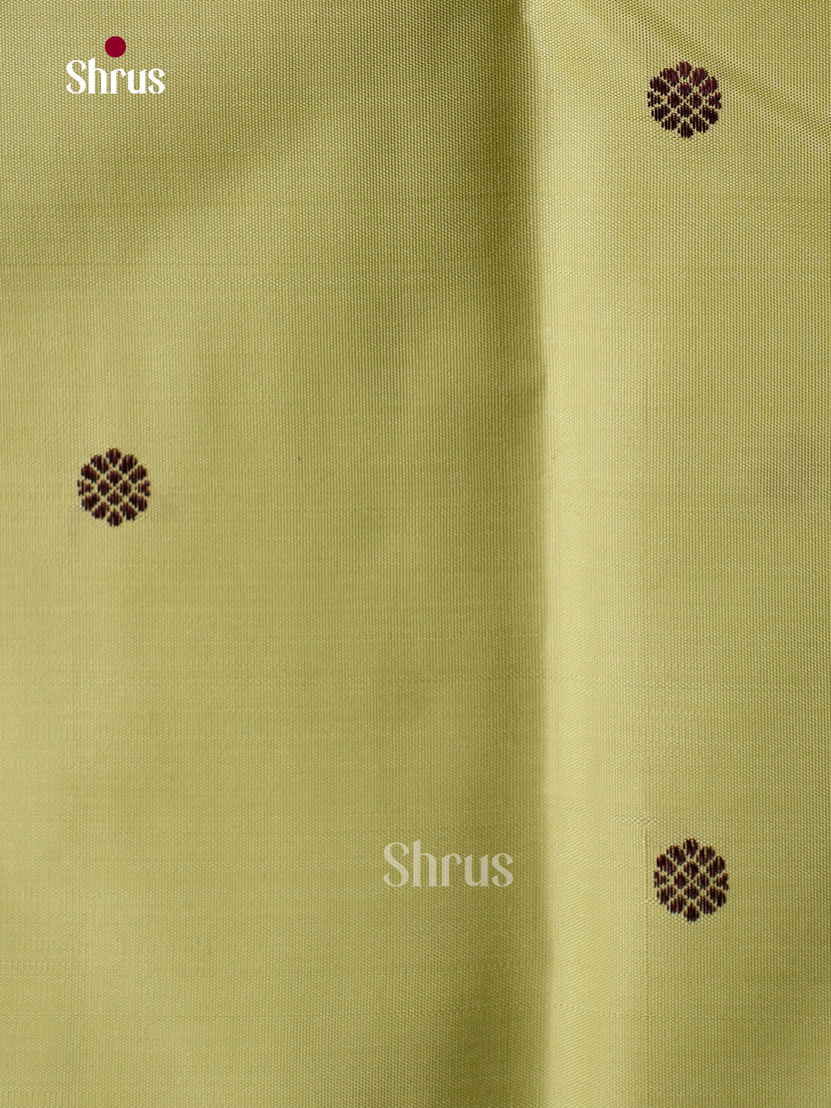 Kanchipuram silk Saree - EGS03260
