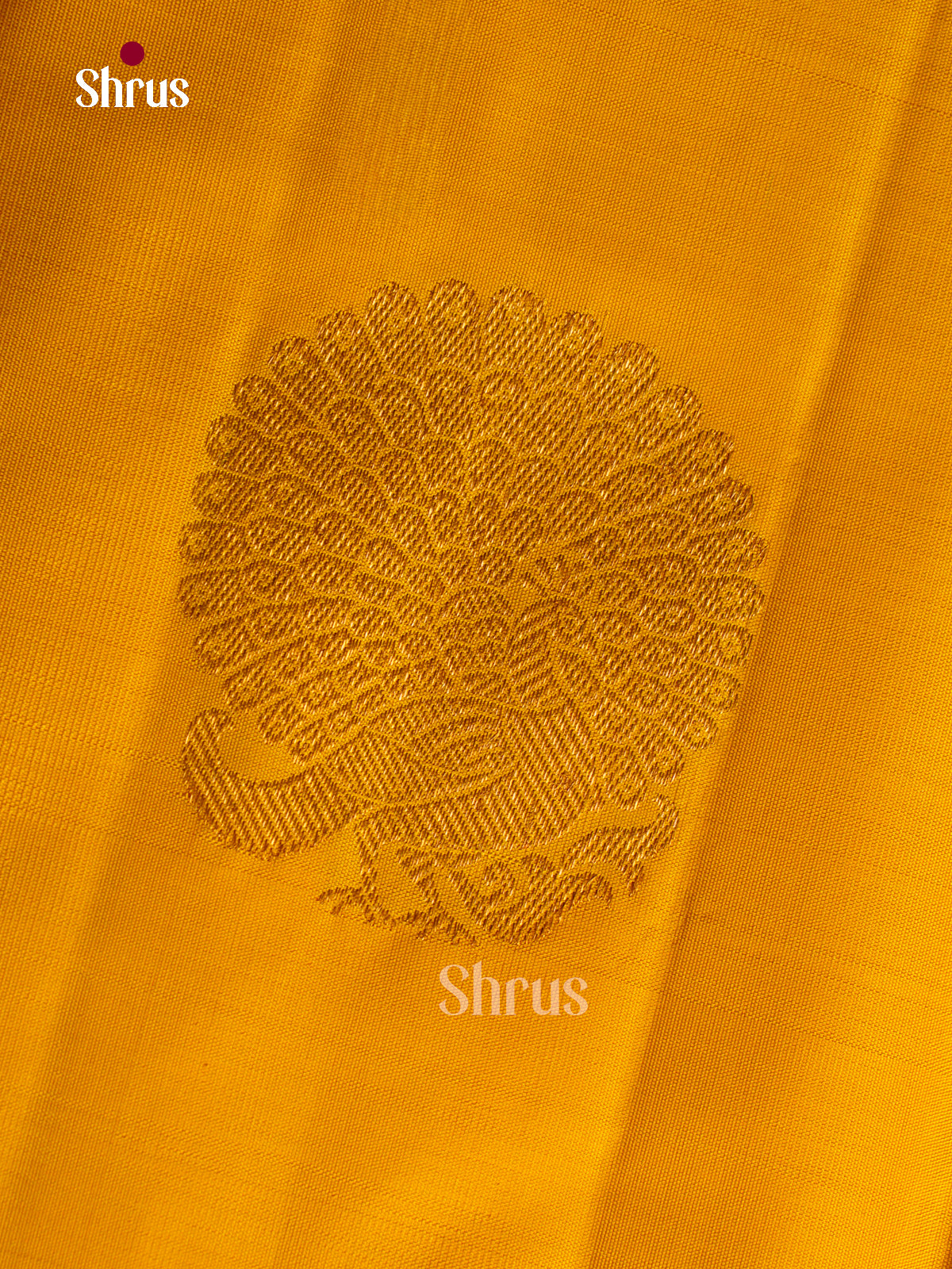 Kanchipuram silk Saree - EGS03331