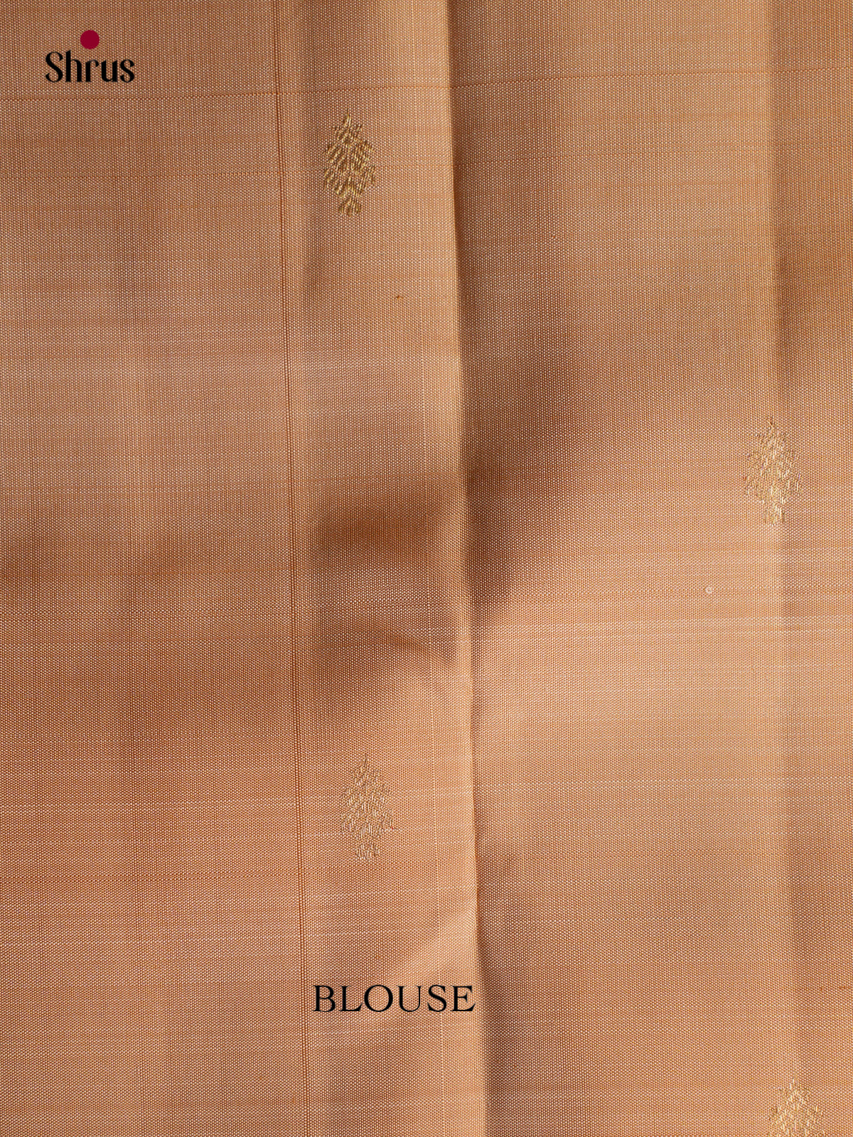 Kanchipuram silk Saree - EGS03336