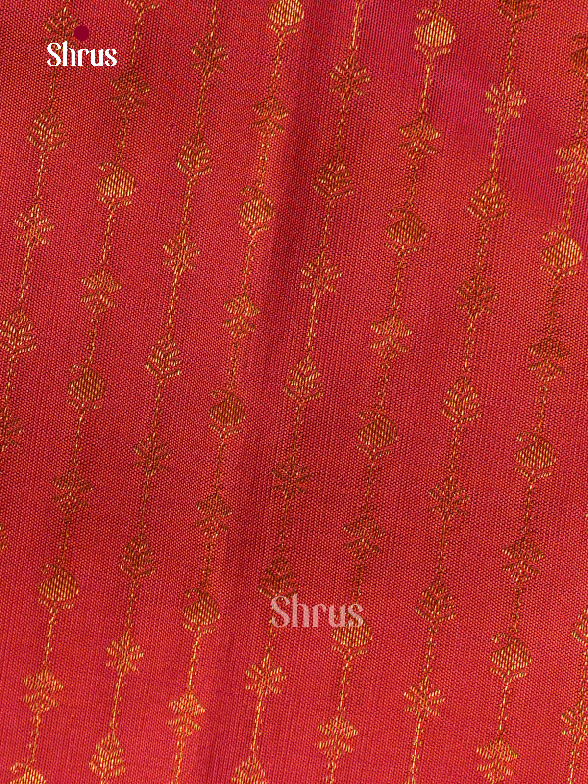 Kanchipuram silk Saree - EGS03337