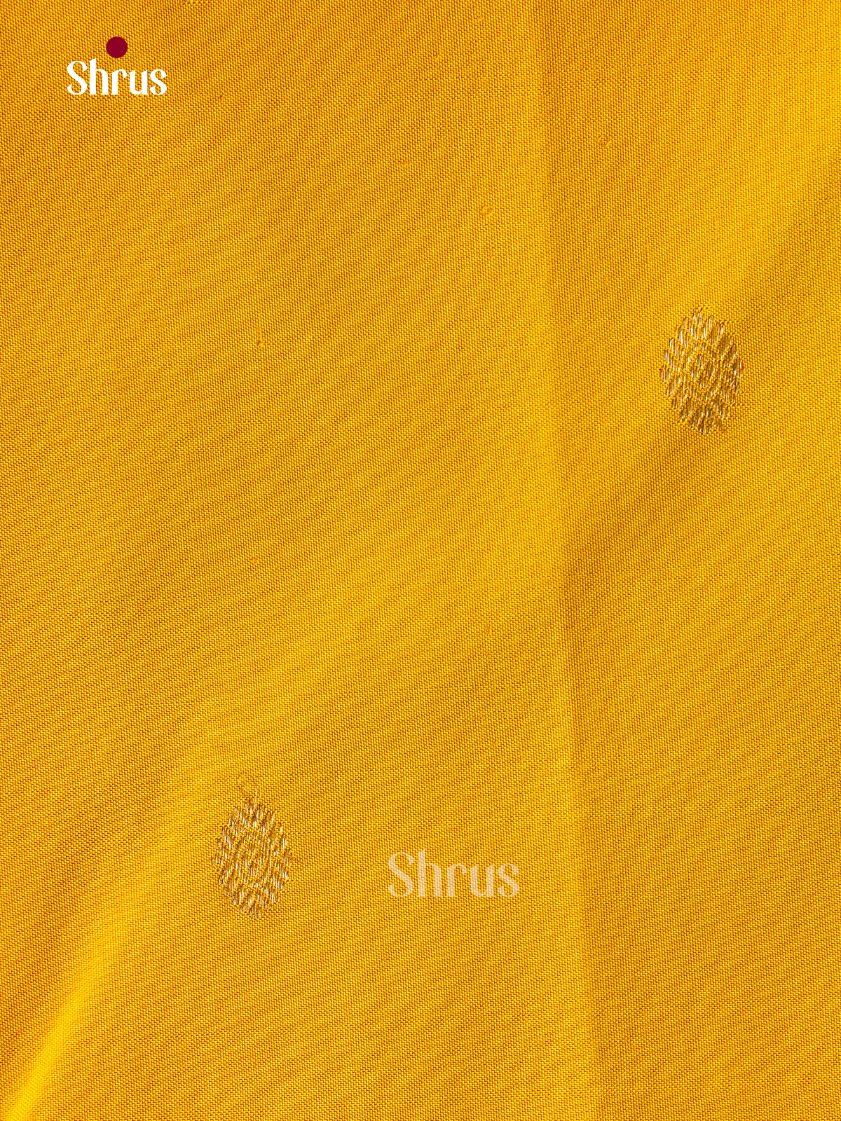 Kanchipuram silk Saree - EGS03376