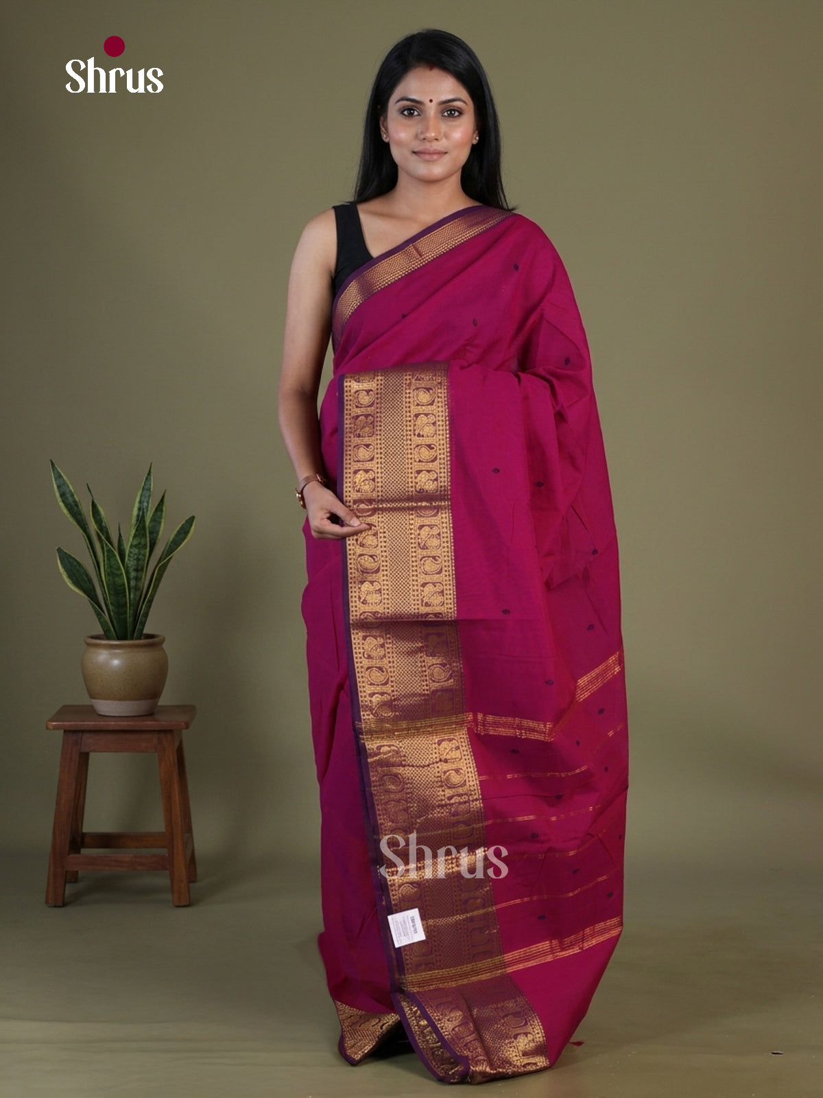 Chettinad Cotton Saree - EGS03378 - Shop on Shrus.com